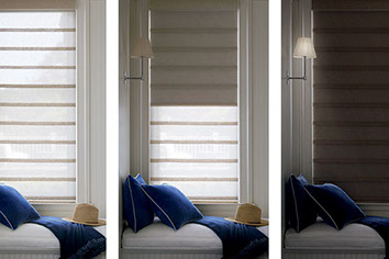 Hunter Douglas Duolite